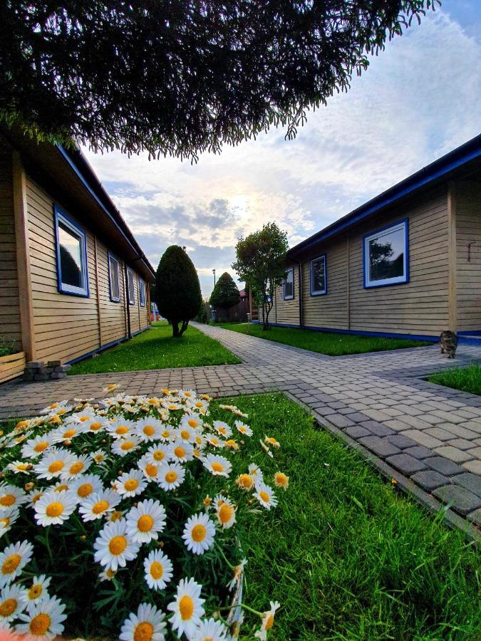 Wir Gaski - Domki Letniskowe Exterior photo
